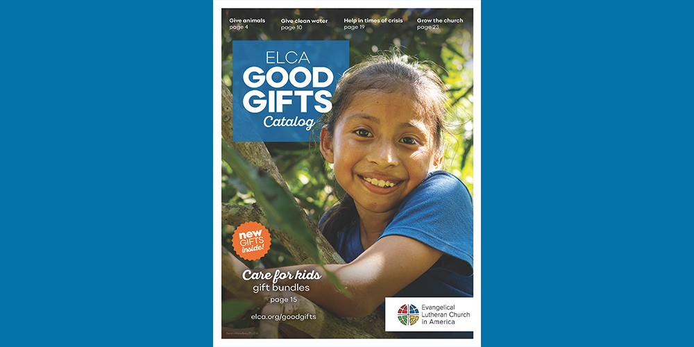 WH Advent Good Gifts Image