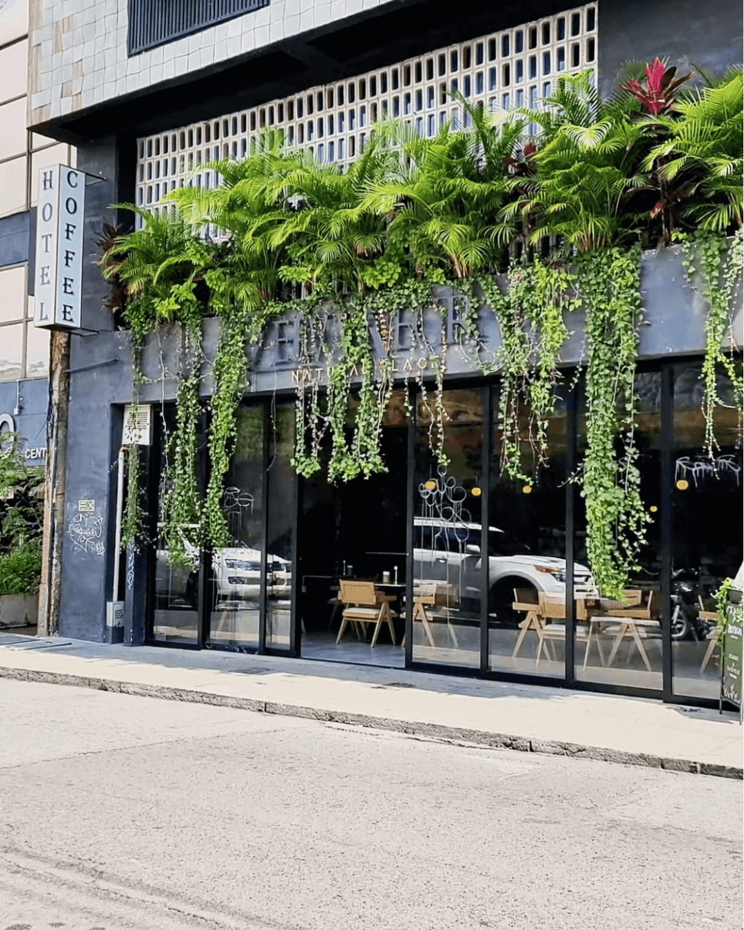 Trendy café in Medellín with modern design and lush greenery, highlighting lifestyle and dining options during a dental tourism trip to Colombia.