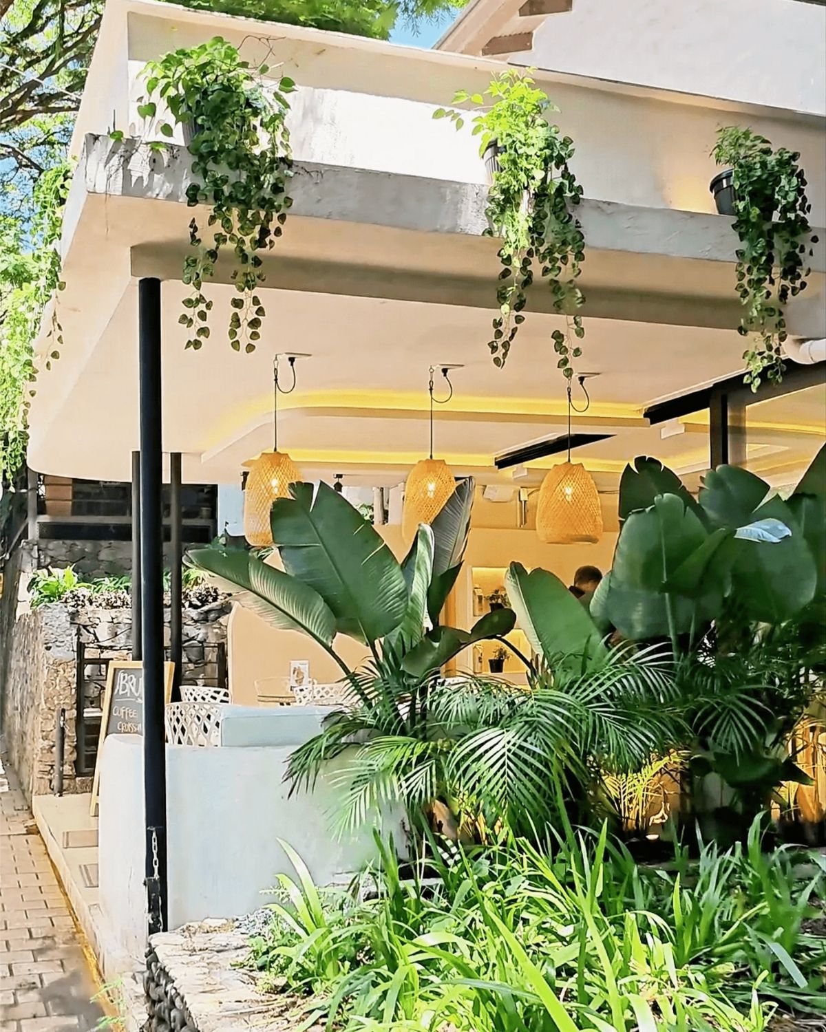 a trendy juice bar in Colombia with tropical plants and natural decor — great spot for smoothies and healthy eats during wellness travel.