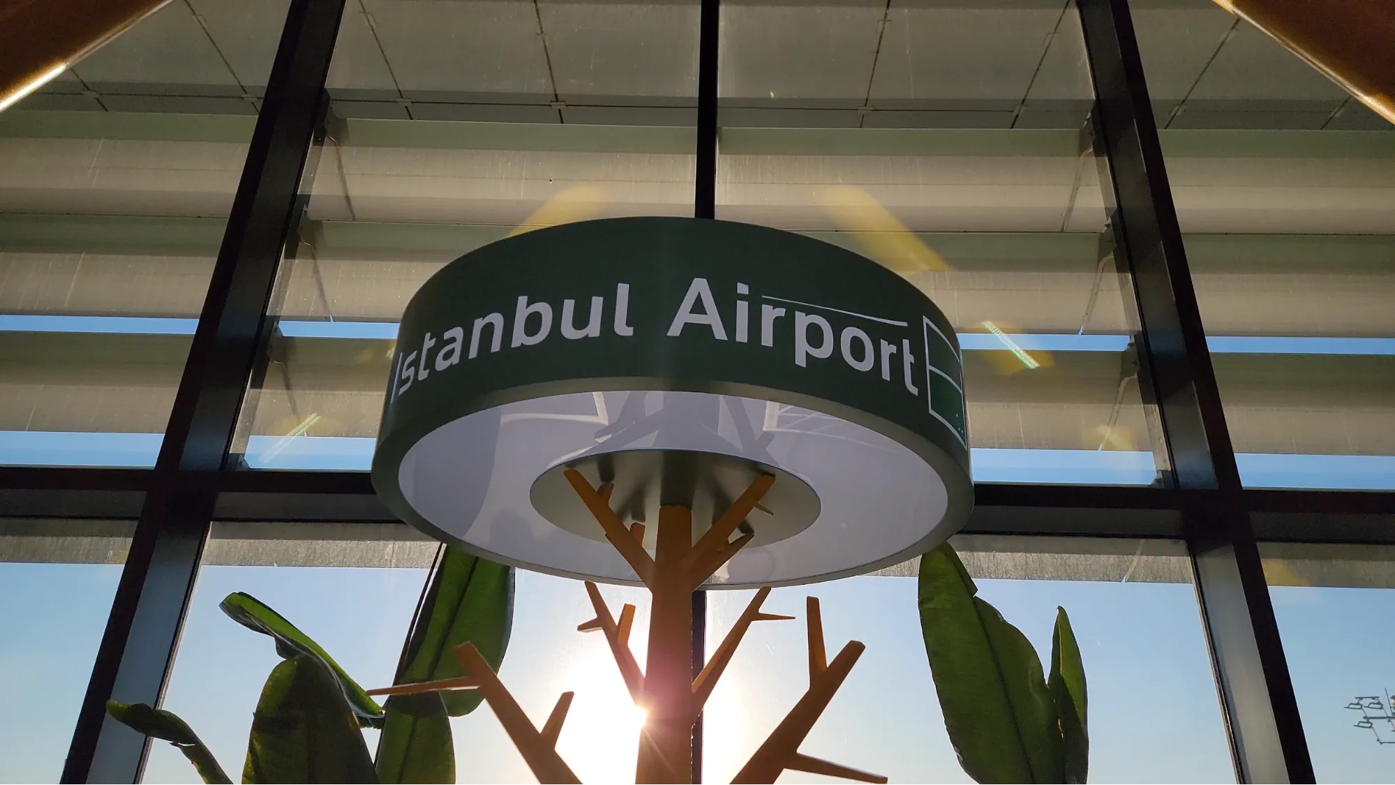 A modern sign reading “Istanbul Airport” is mounted above an abstract tree sculpture with sunlight filtering through large windows.
