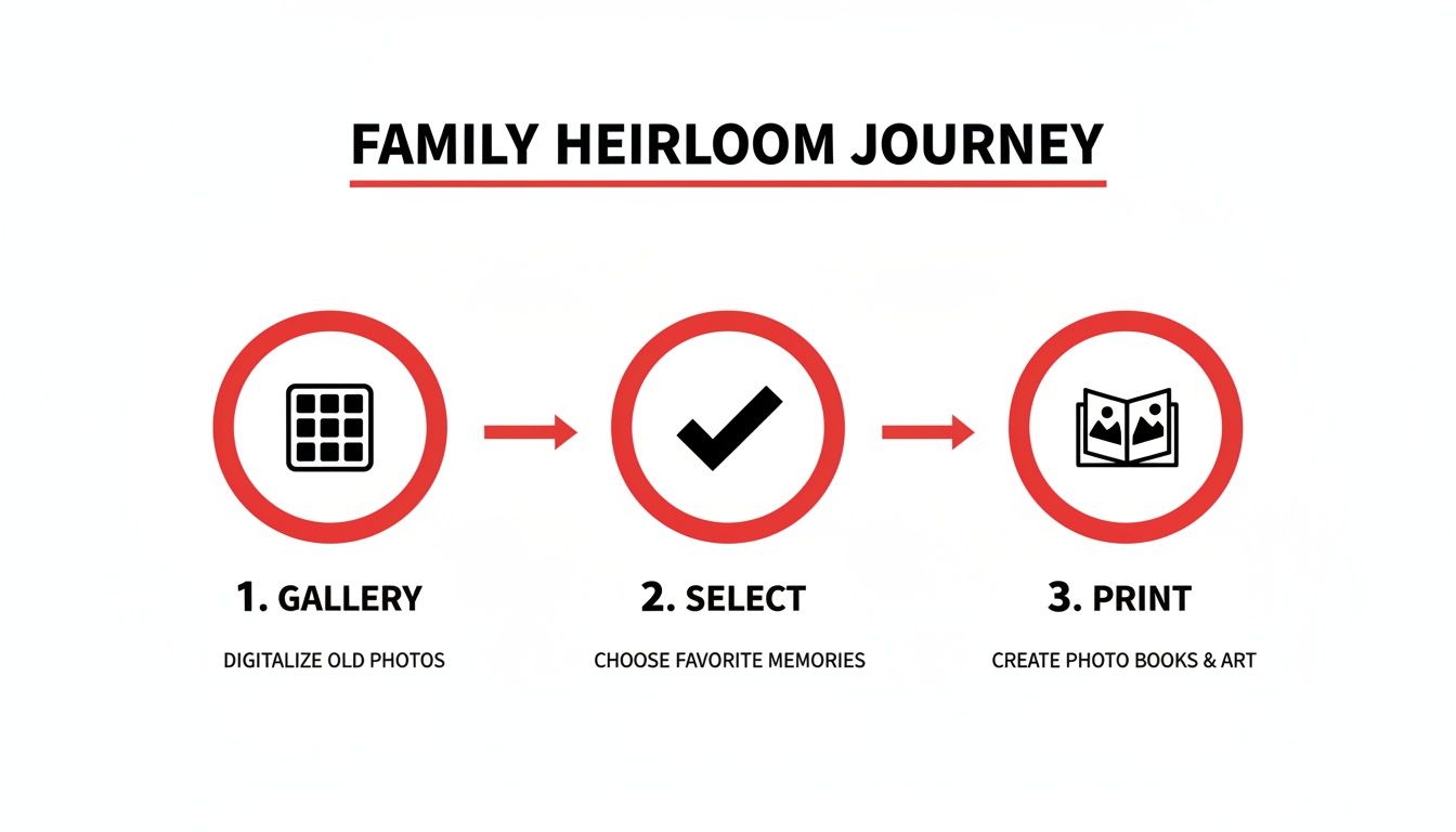 A diagram outlining the family heirloom journey: gallery, select, and print.