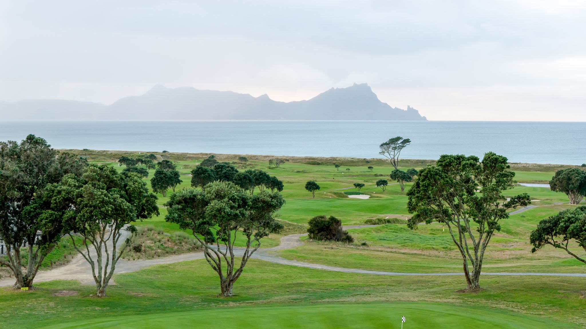 Photography by Nimmy, Whangārei and Northland