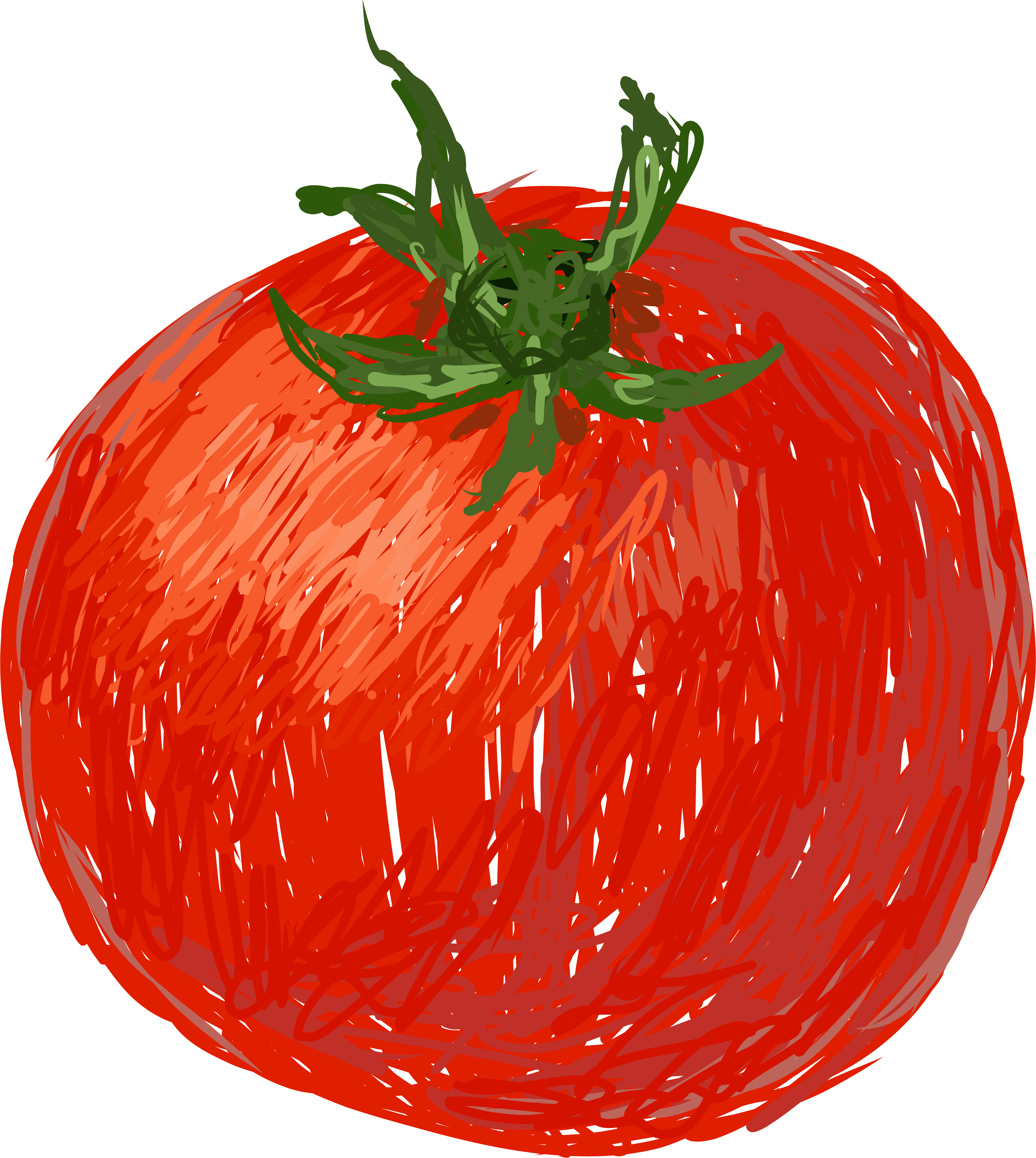 Tomato illustration