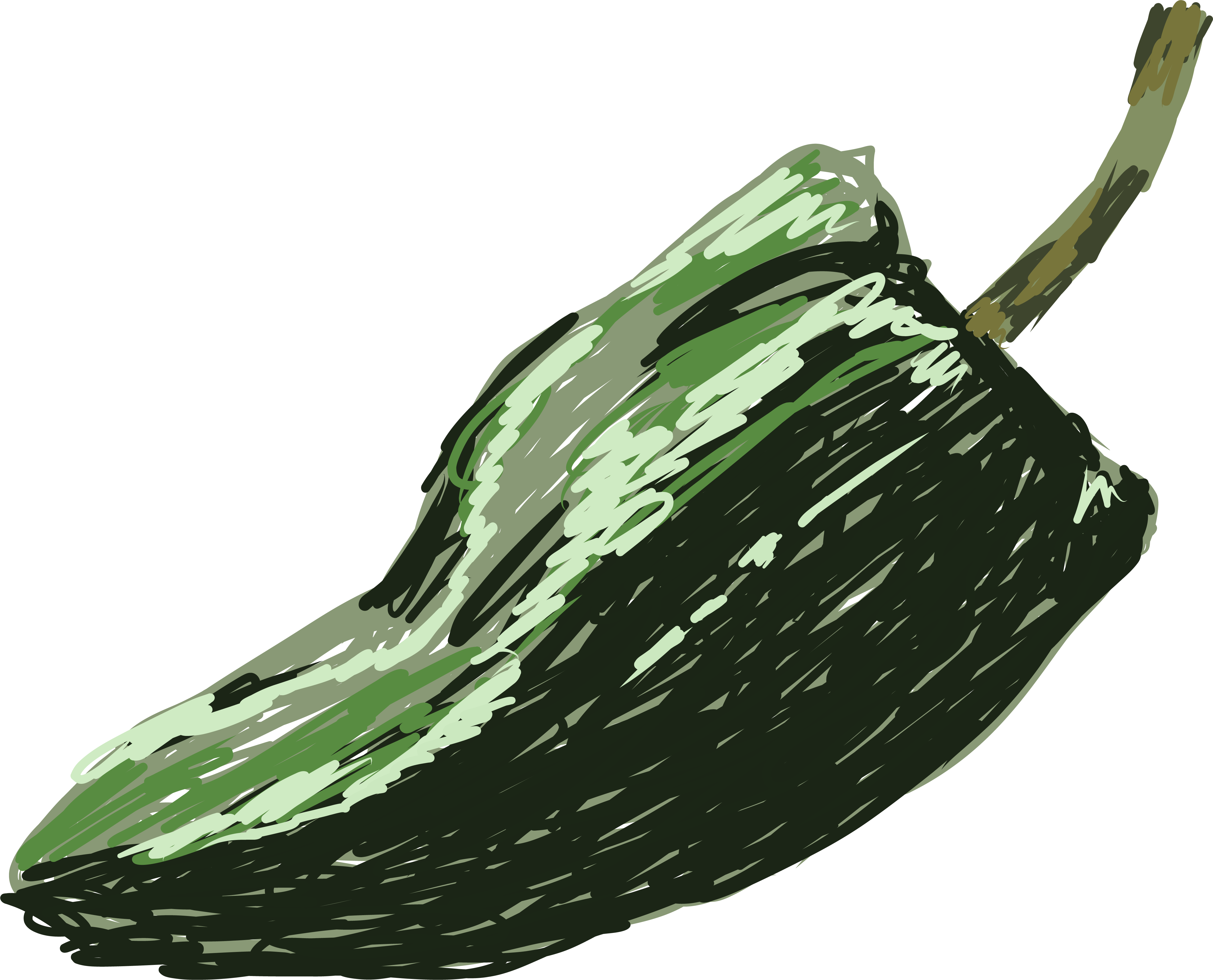 Illustration of poblano pepper