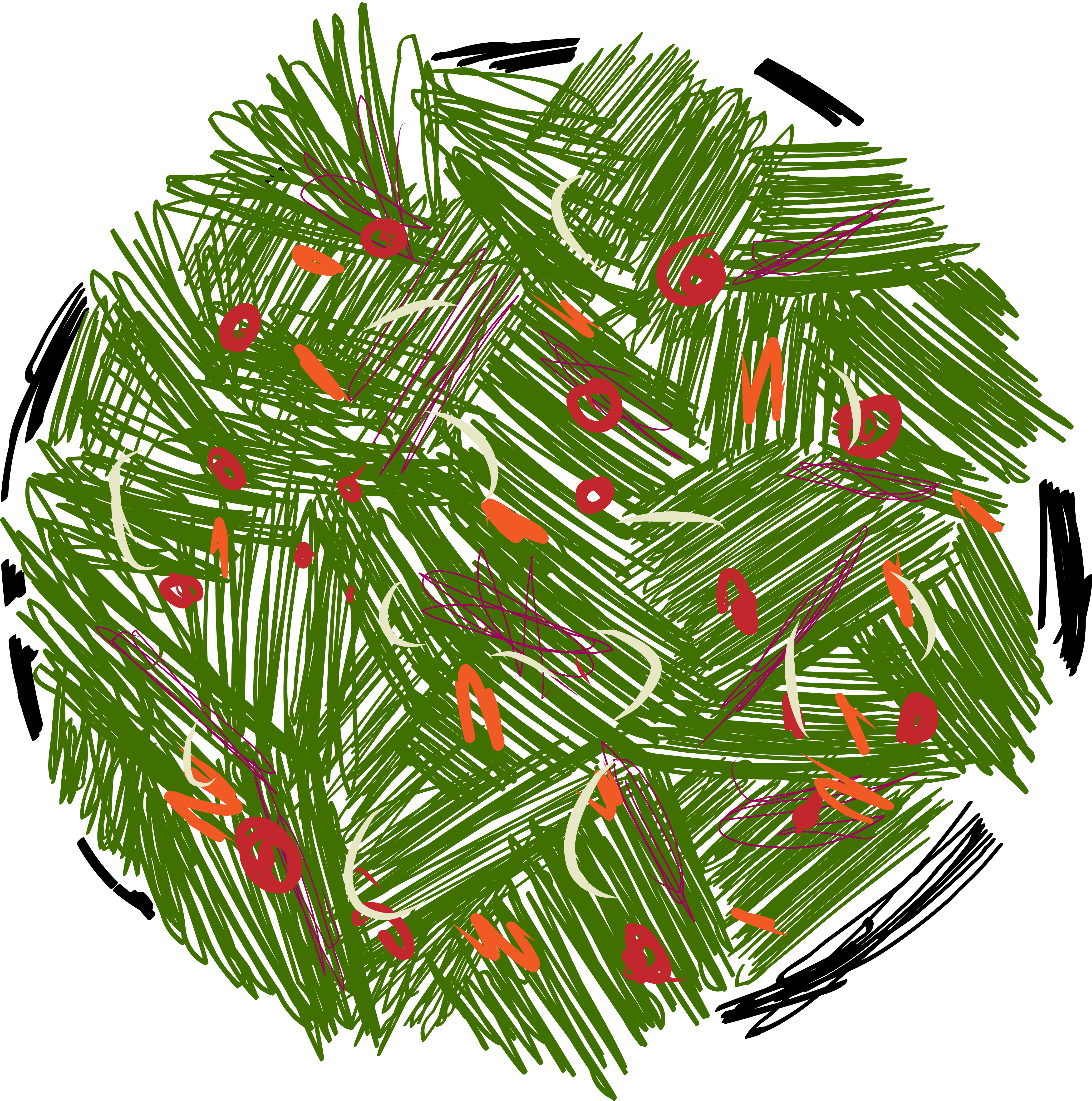Salad illustration