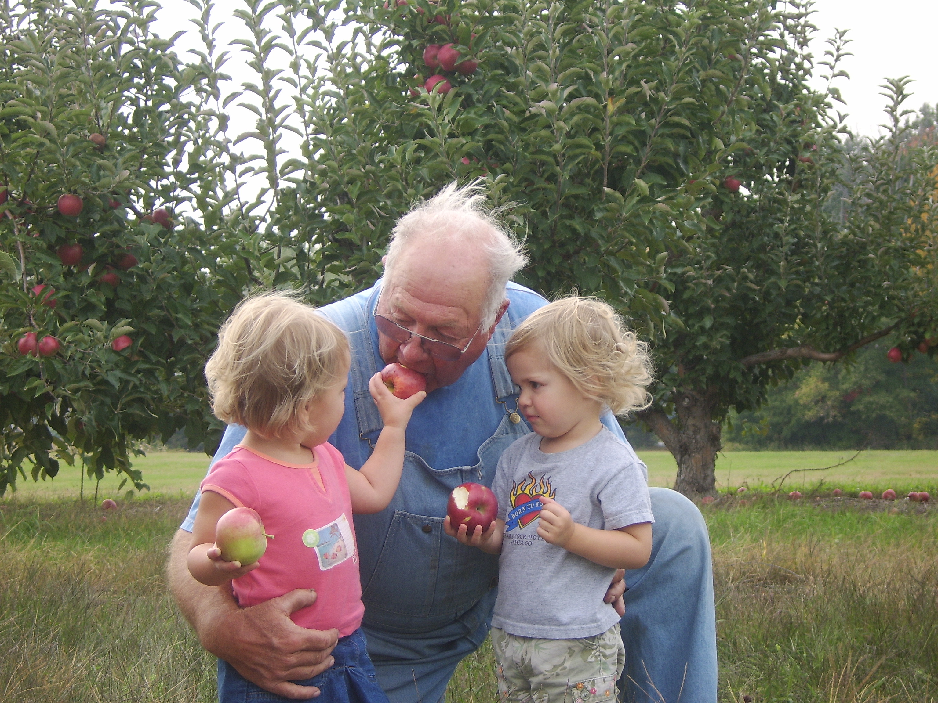 Two children feeding grandpa apples
