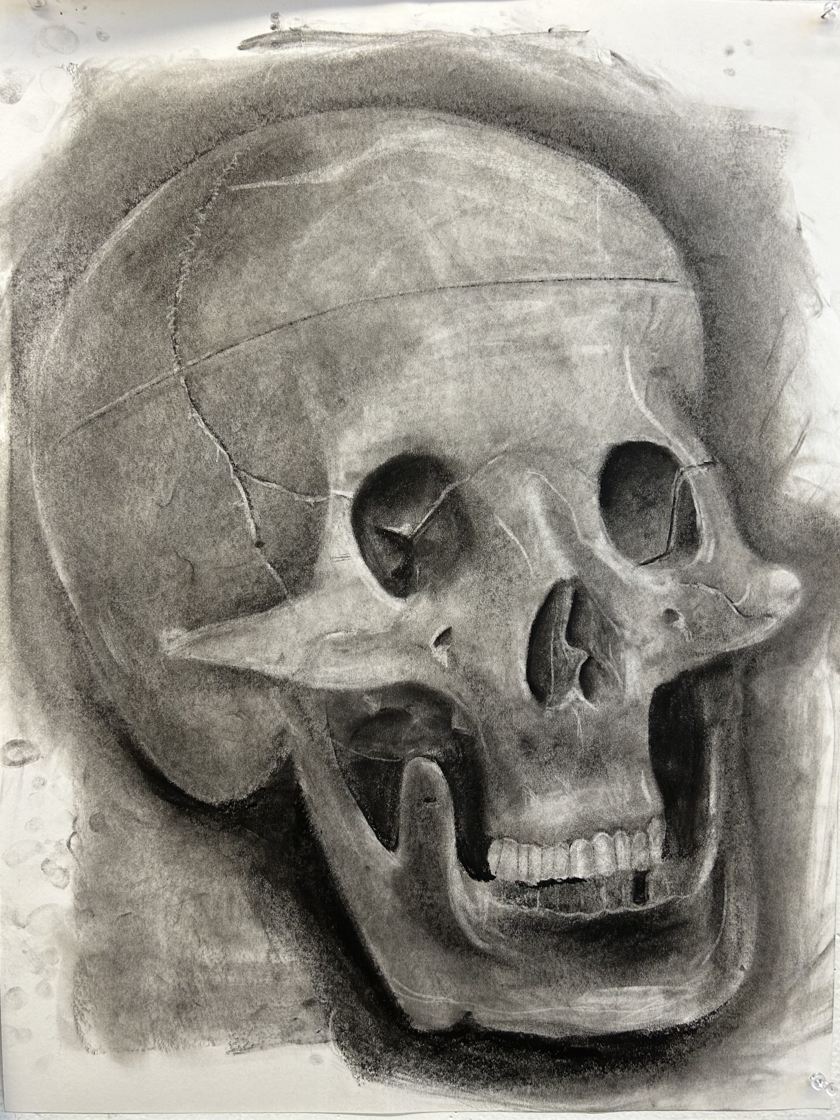 Charcoal drawing of a skull