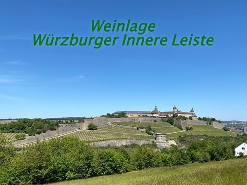 Weinlage Würzburger Innere Leiste neben der Festung Marienberg