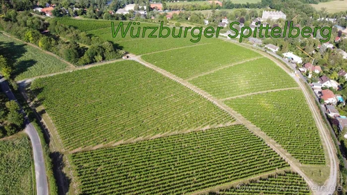 Würzburger Weinberg Spittelberg