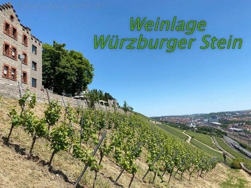 Würzburger Stein neben der Steinburg in Würzburg