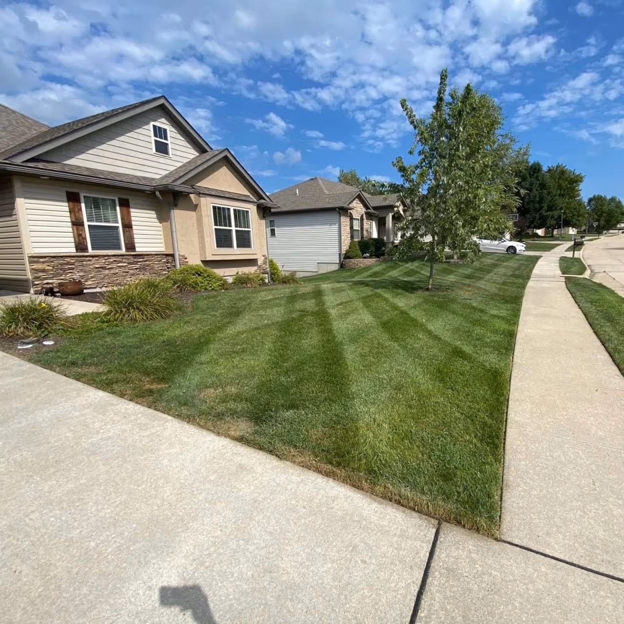 expert weed control for residential lawns in Discovery Bay