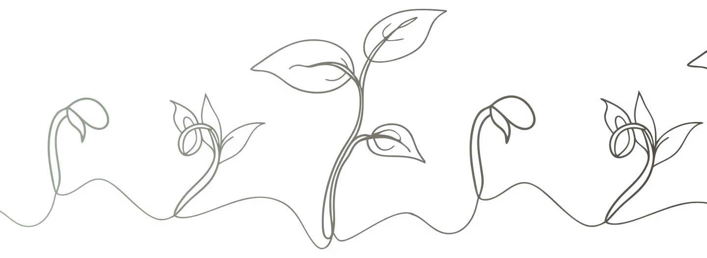 Line drawings of different sprouts strung together.