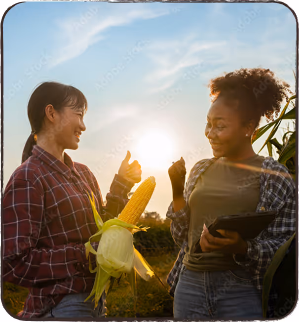 Farmers in the sunset ecstatic about a healthy crop.
