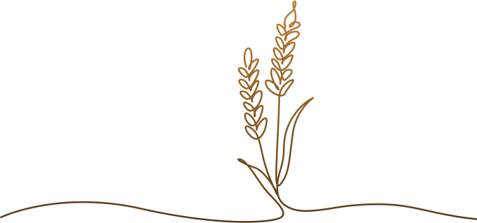 Line art drawing of a flower.
