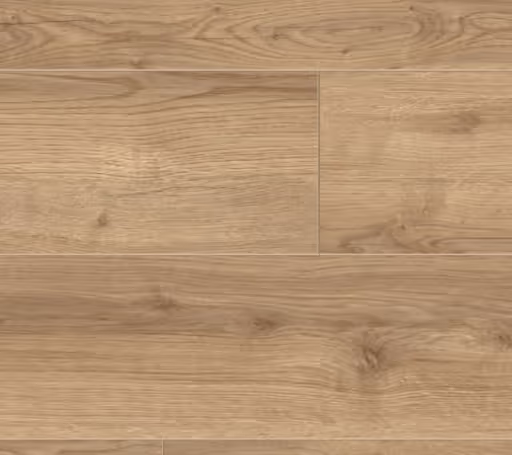 Opua Wide (sqm) - 320 Forest
