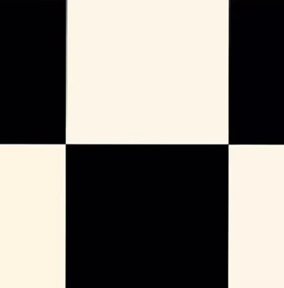 Status 2m vinyl - 5053 Echiquier 2/Black White