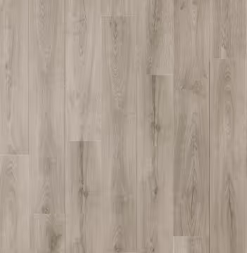 Amor (sqm) - 790 Zara
