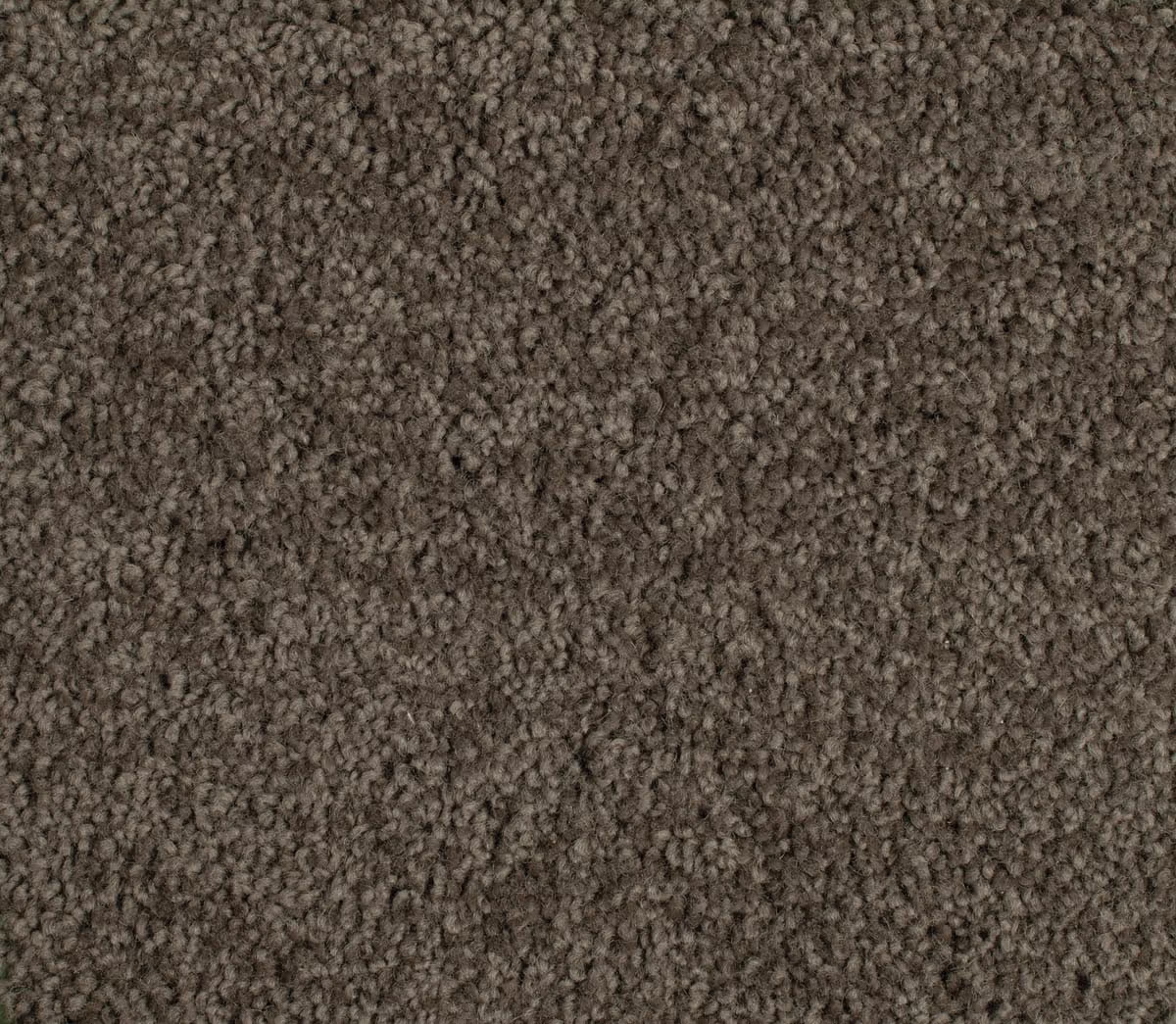 Glenorchy - 580 Woodland