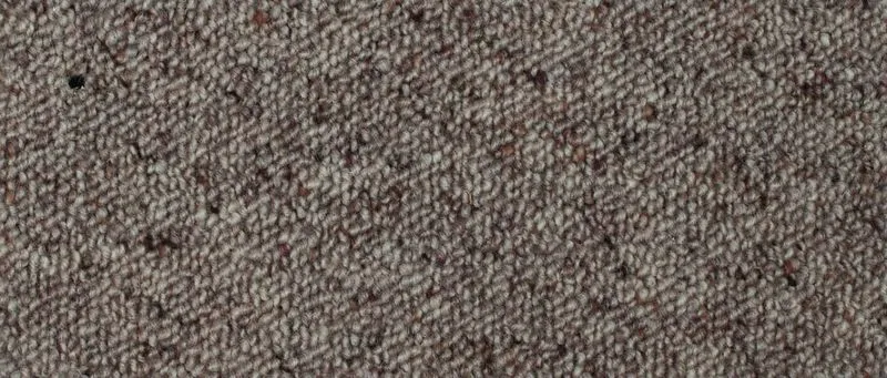 Arabia - 540 Oyster