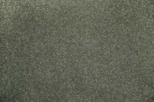 Maia - 10
