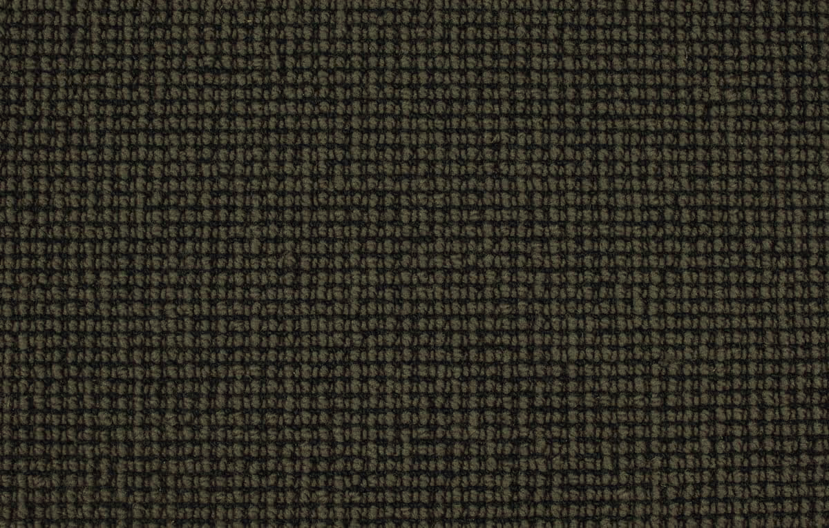 Waitakere 4m - 290 Schist