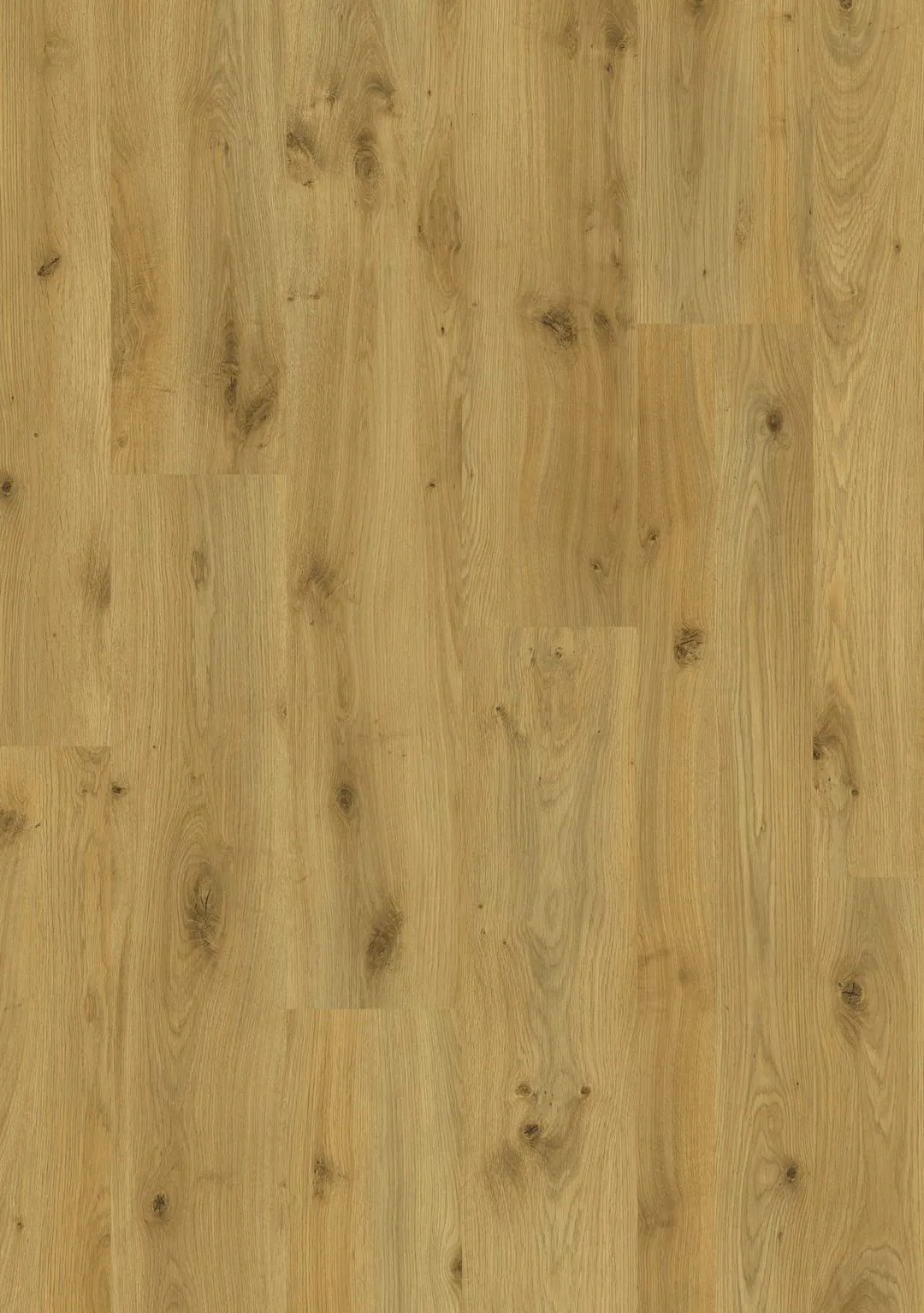 Oasis (sqm) - WLOA-CM Camel Oak Natural