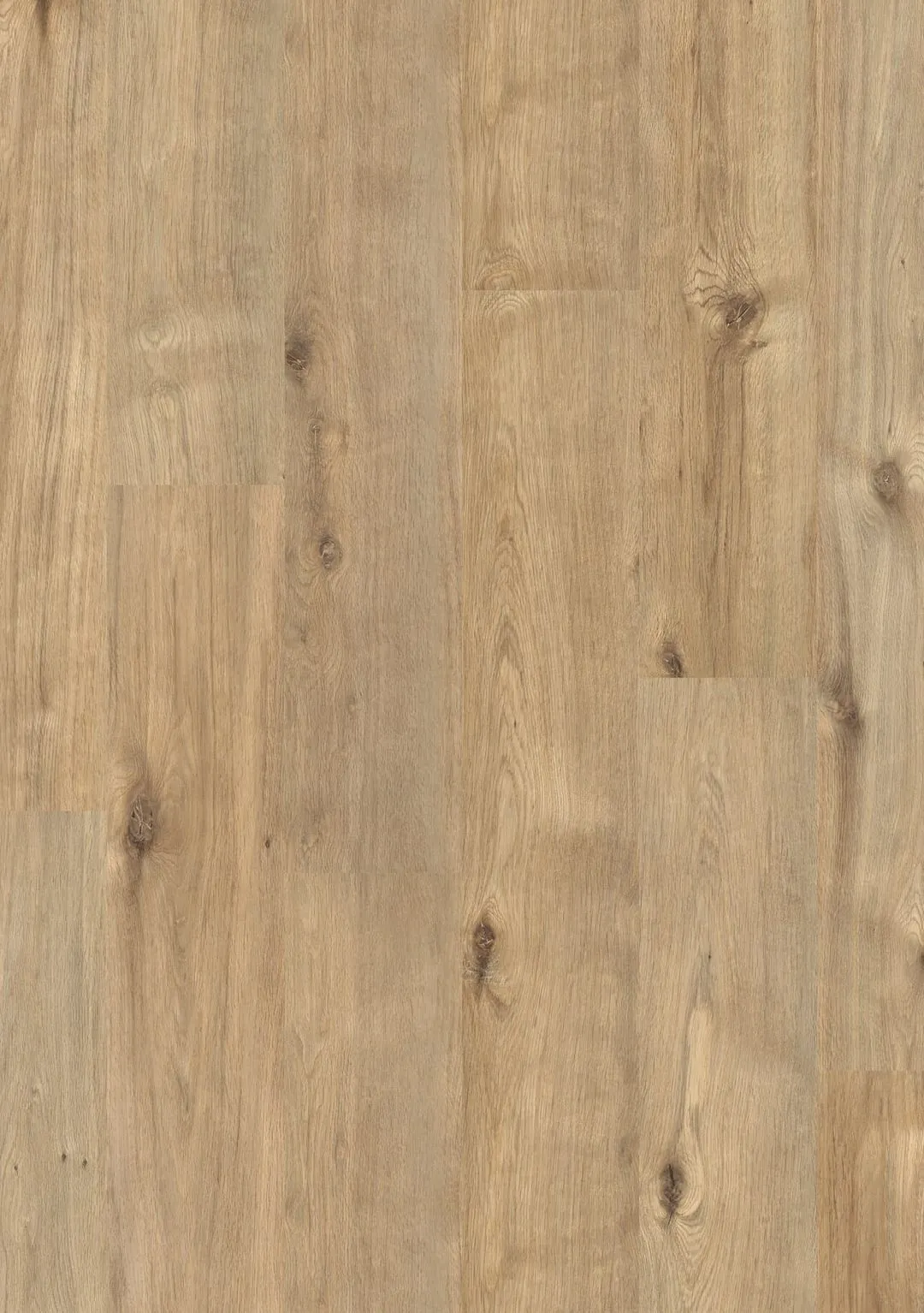 Oasis (sqm) - WLOA-CA Cabin Oak