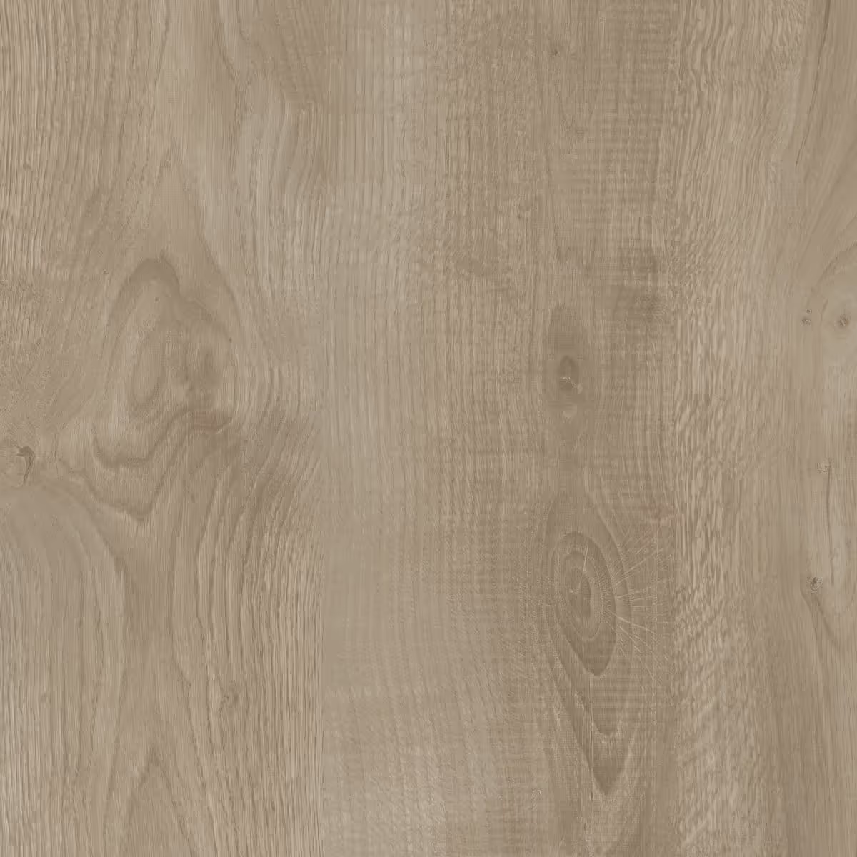 Ruahine 4V - 943 Longview