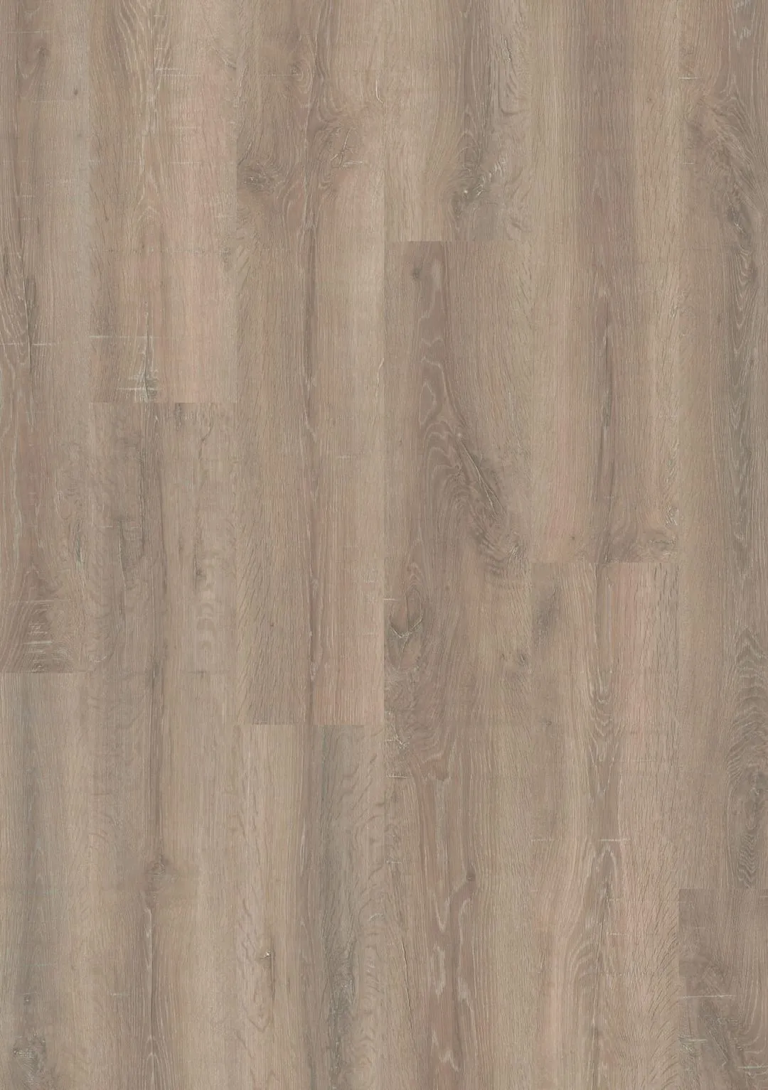 Oasis Wide (sqm) - Bandit Oak