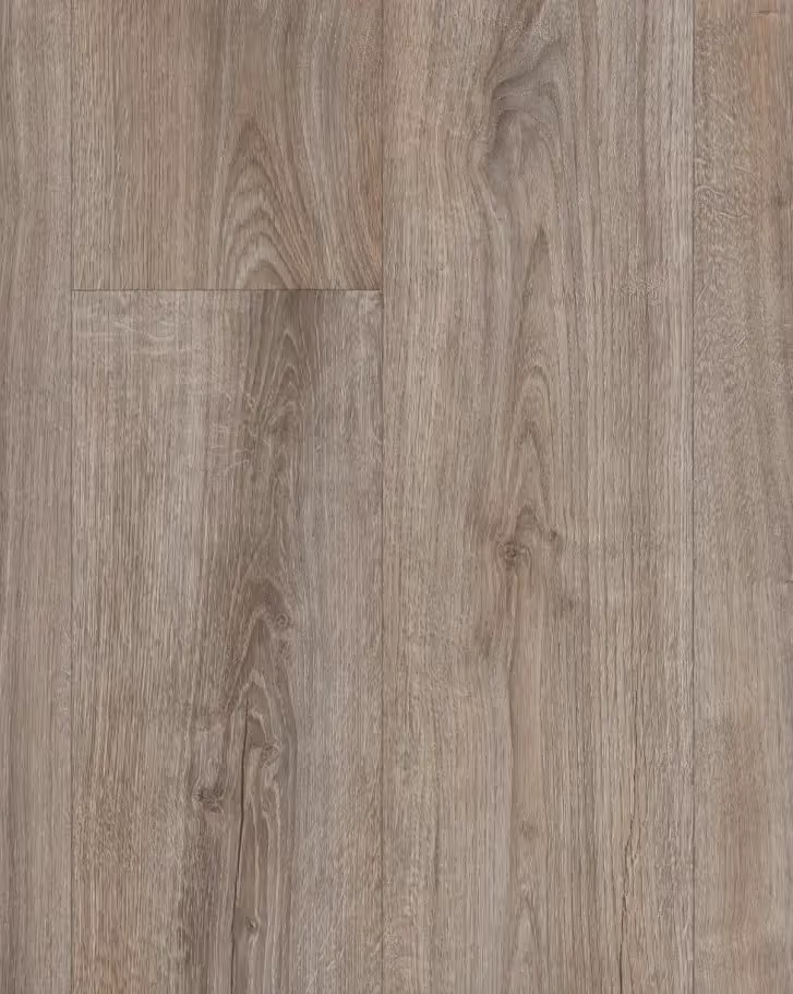 Zenith Oak s46