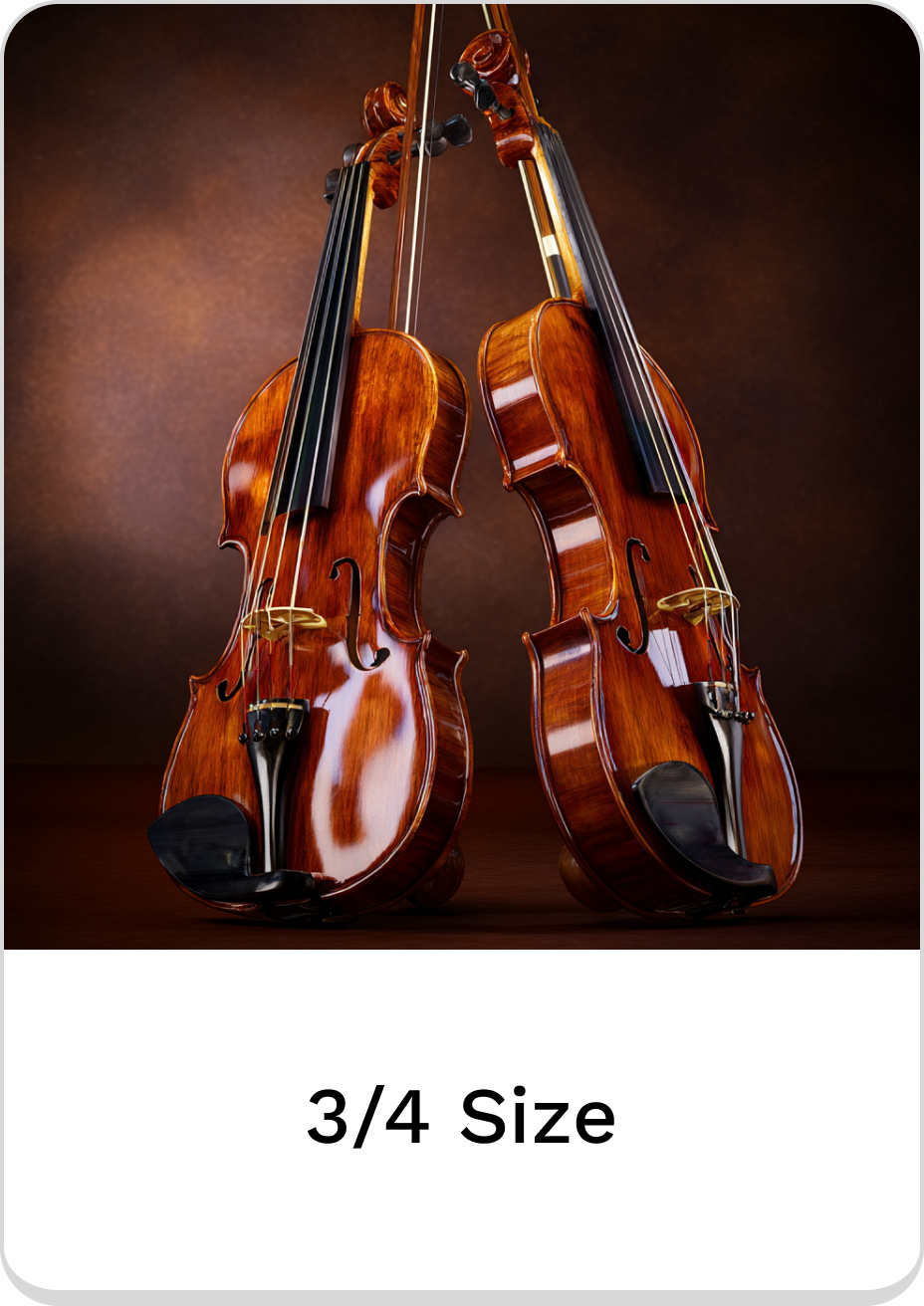 Elegant 3/4 size violins showcasing premium craftsmanship and rich wood tones.