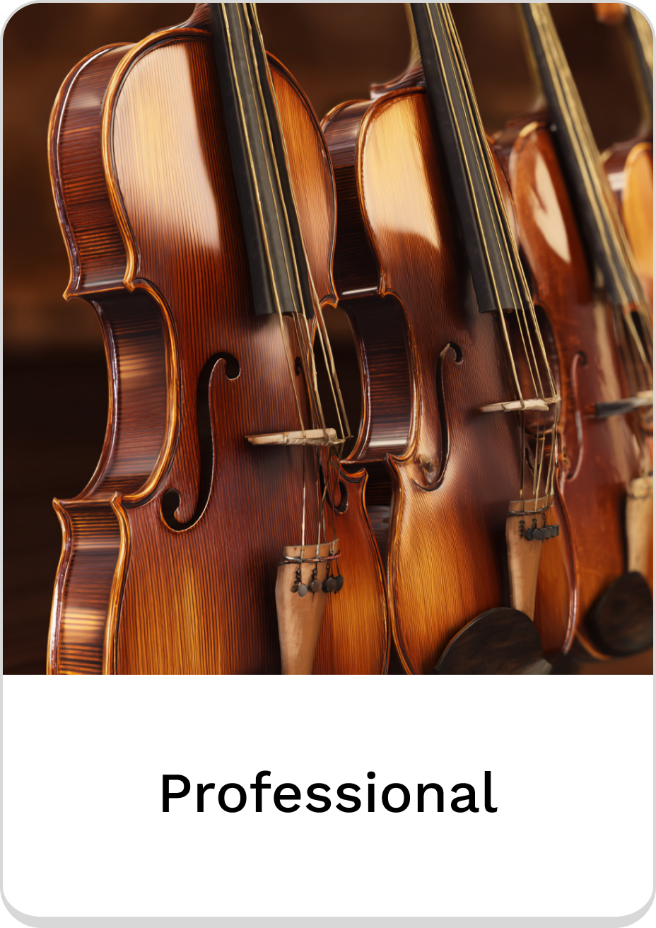 Professional violins showcasing exquisite craftsmanship and rich tones.