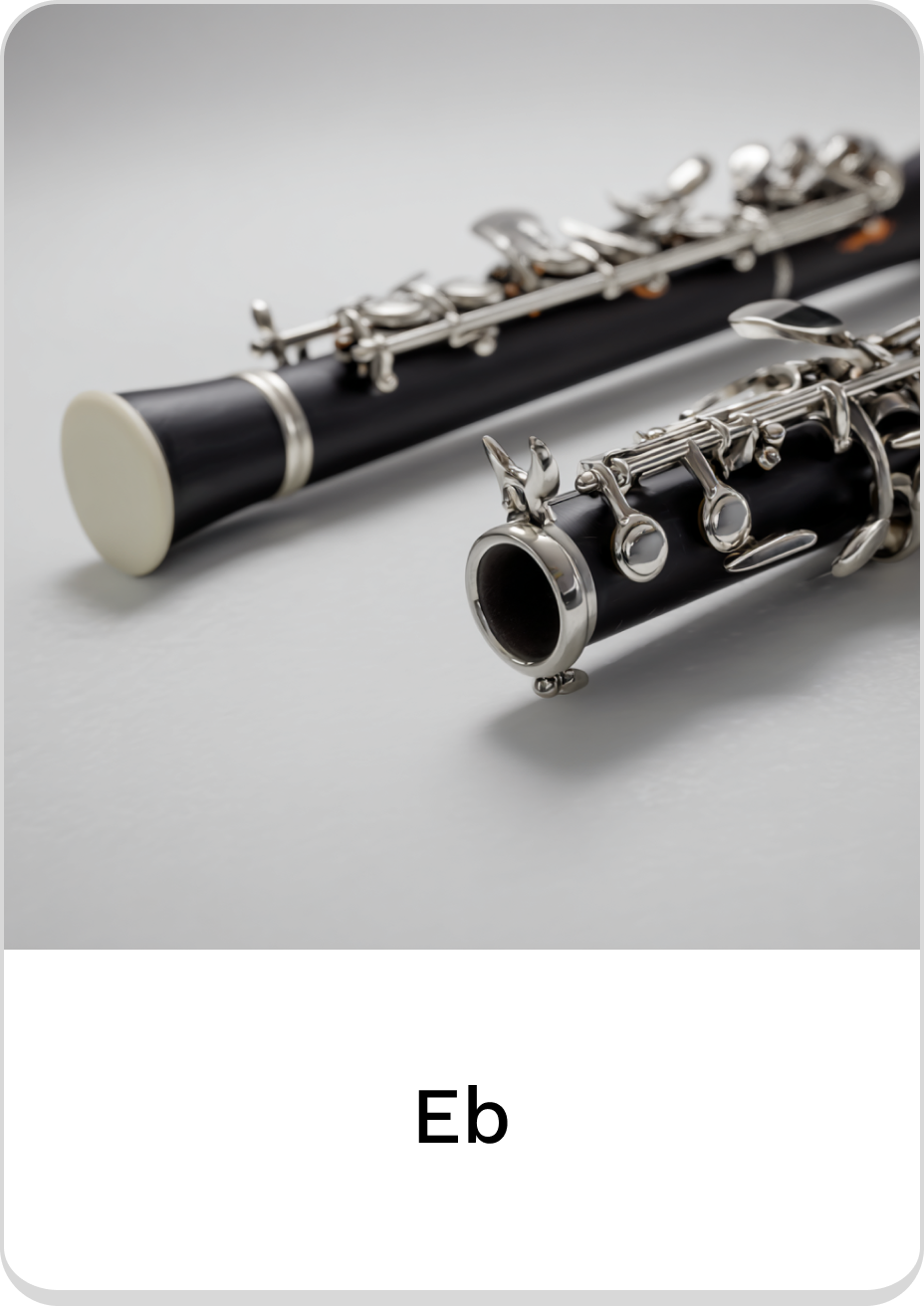 Eb clarinet showcasing detailed craftsmanship and sleek design for musicians.
