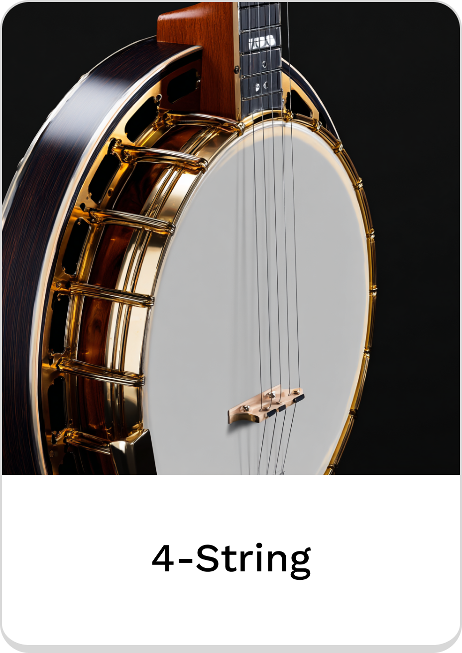 Elegant 4-string banjo showcasing craftsmanship and quality materials.