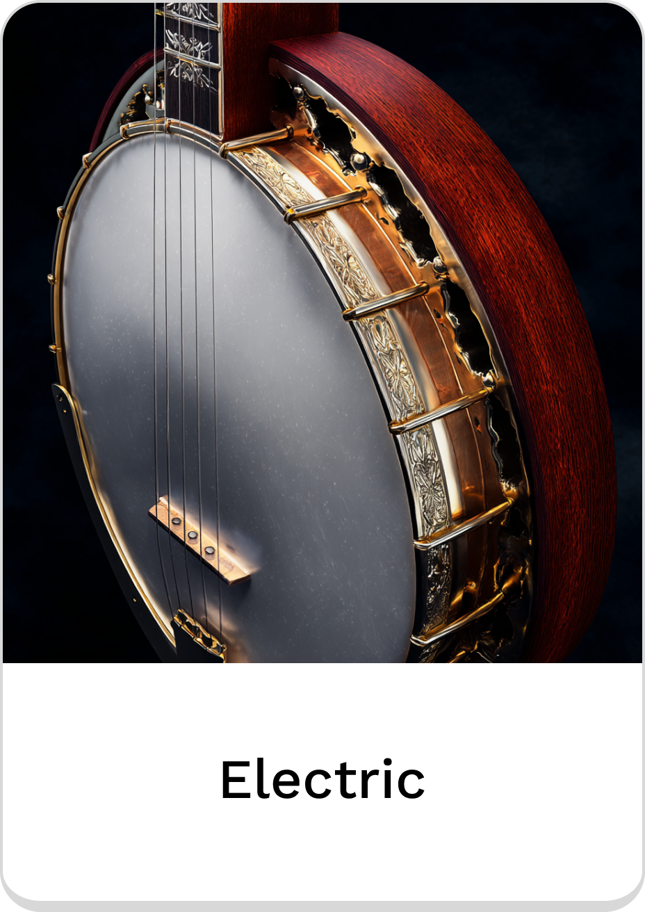 Elegant electric banjo showcasing premium craftsmanship and design details.