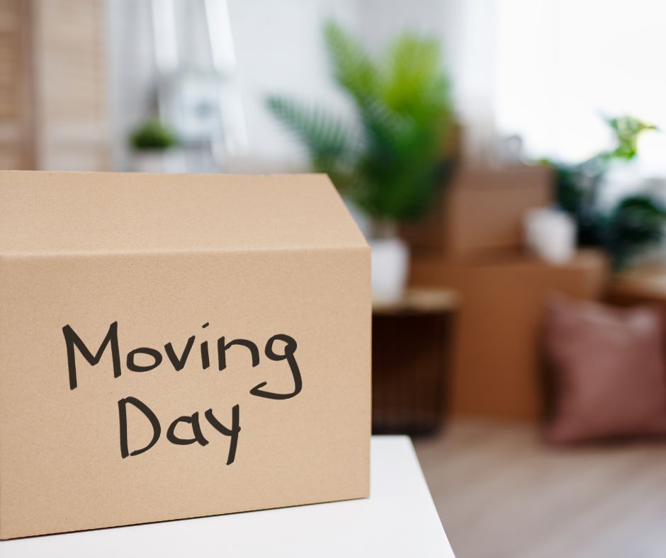 moving day box
