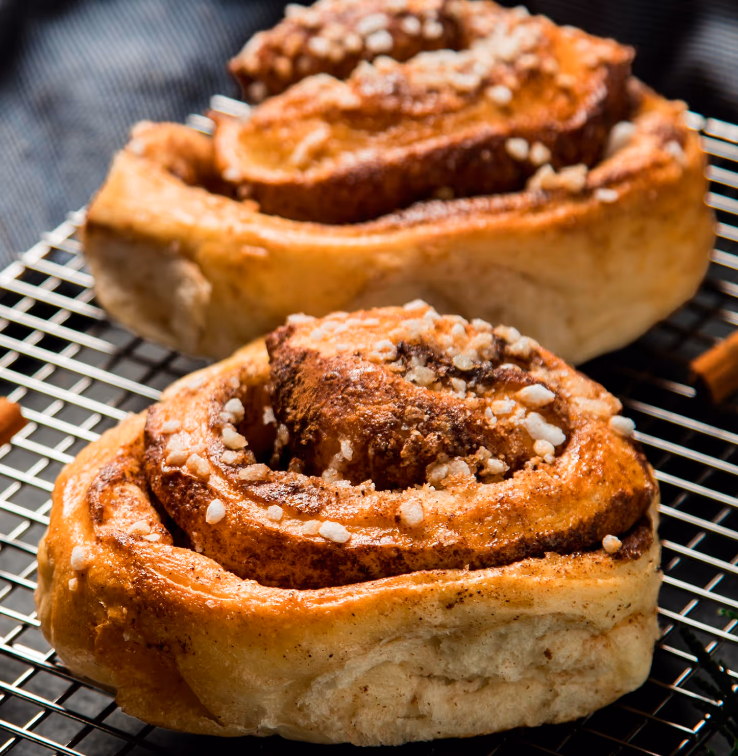 Cinnamon Swirl Roll