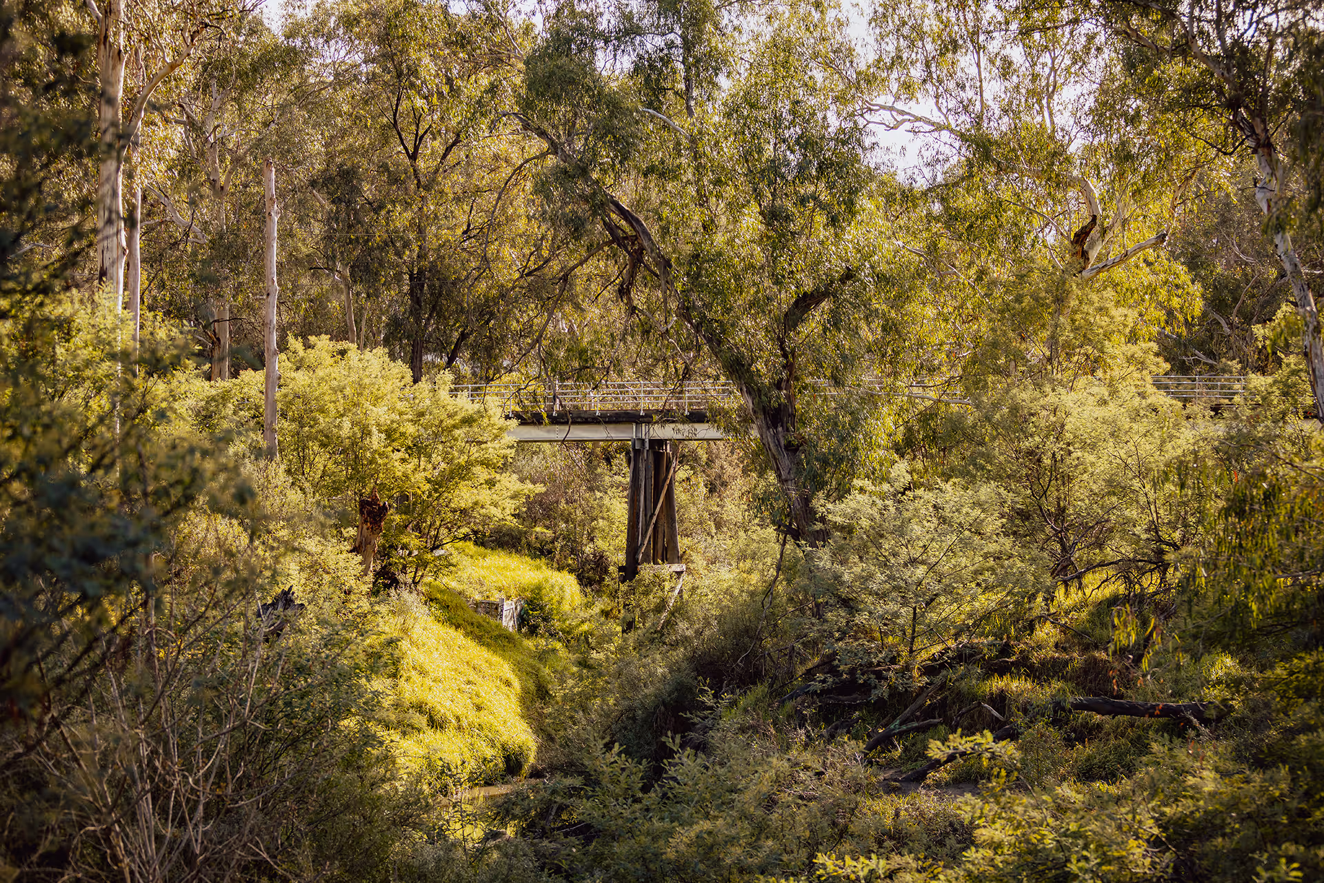 Eltham’s Evolution: Why This Leafy Suburb is Ready for Commercial Growth