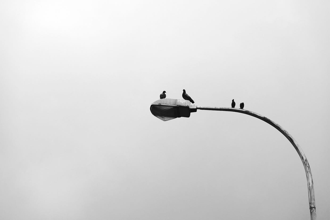 Steel poles with LED heads(Modern streetlight)