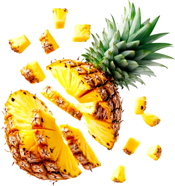 Tradexasia pineapple