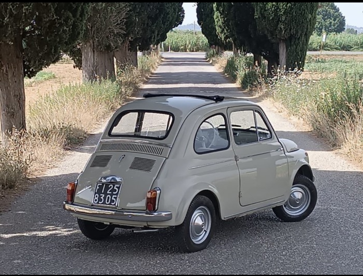 Light gray vintage compact car parked on a tree-lined rural road with tall greenery on both sides.