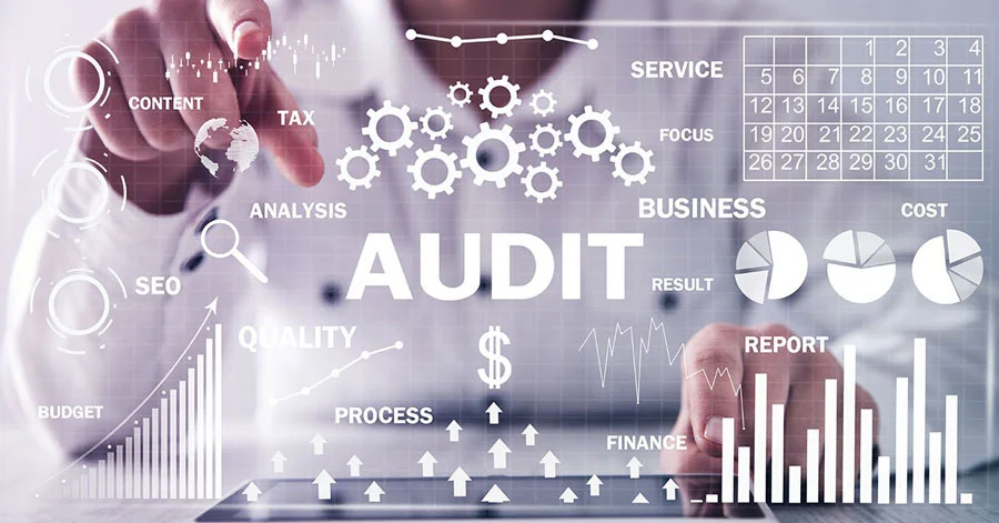 eCommerce Audits