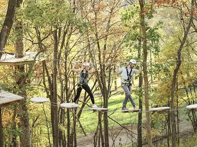 Aerial Adventure, Southall Farm & Inn