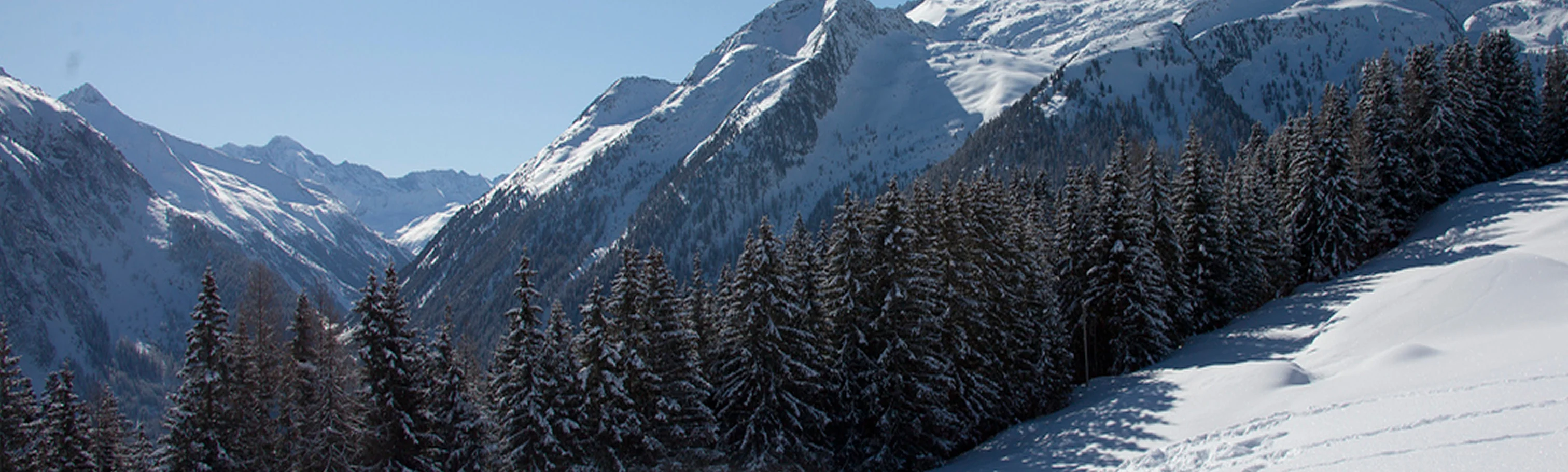 A photo of a mountainous coastline cruving along the ocean.