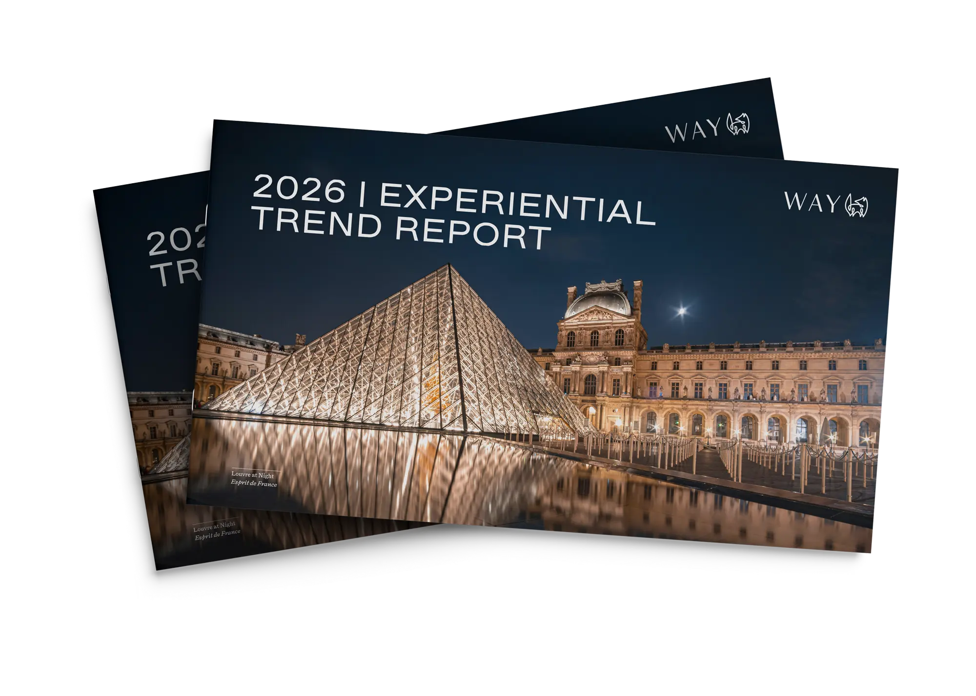 Leadspace Image Information