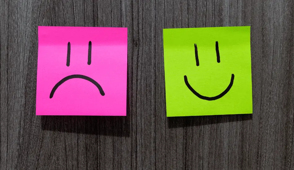 Representation-of-Emotional-Disengagement