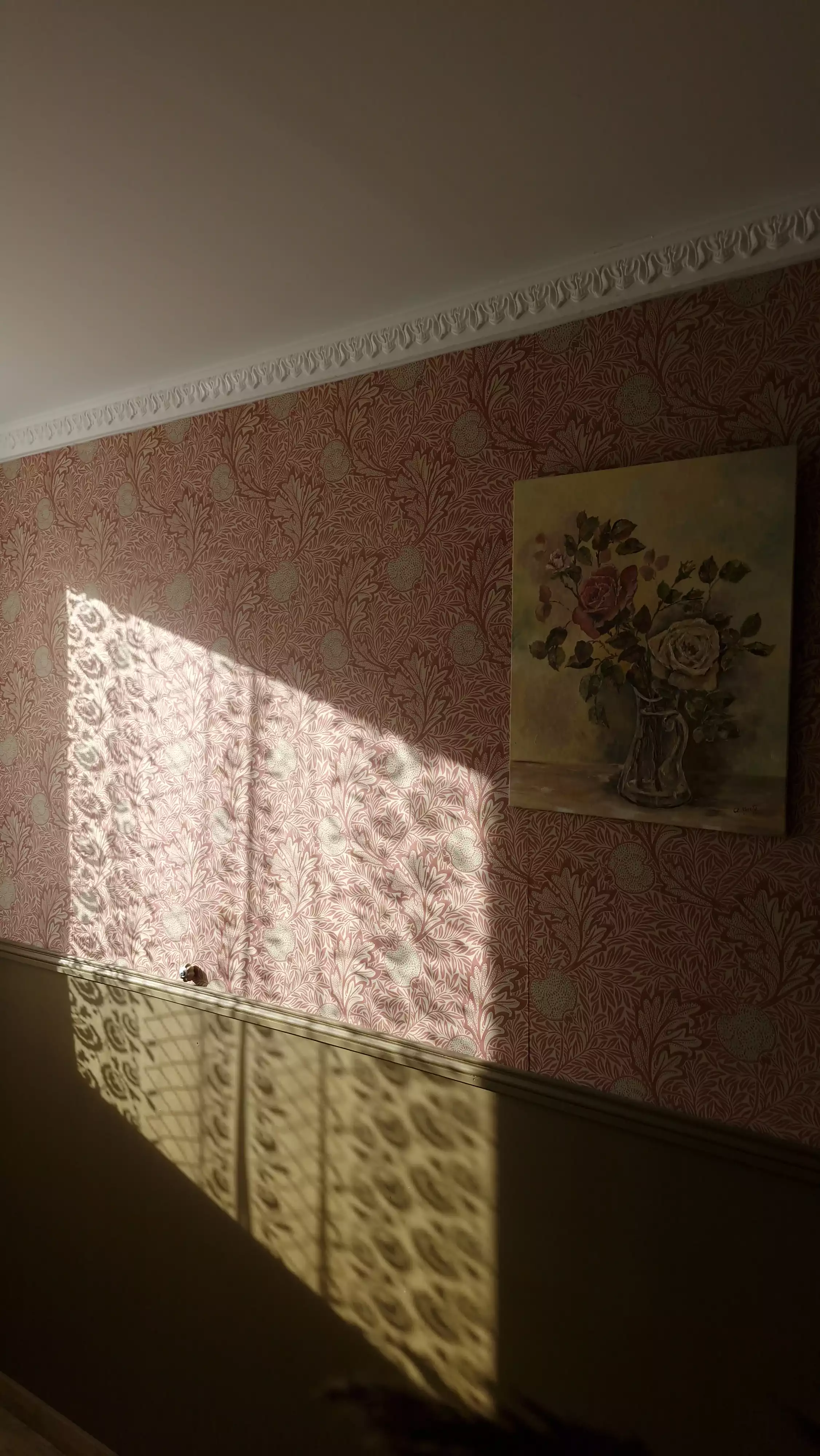 Photo du papier peint à l'entrée du gîte, illuminé par la lumière du soleil filtrée par les rideaux en dentelle de la fenêtre du salon