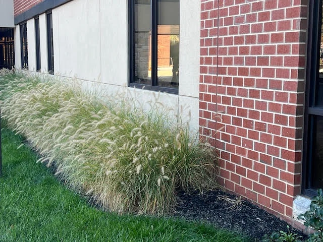 Professional commercial building landscaping design and installation