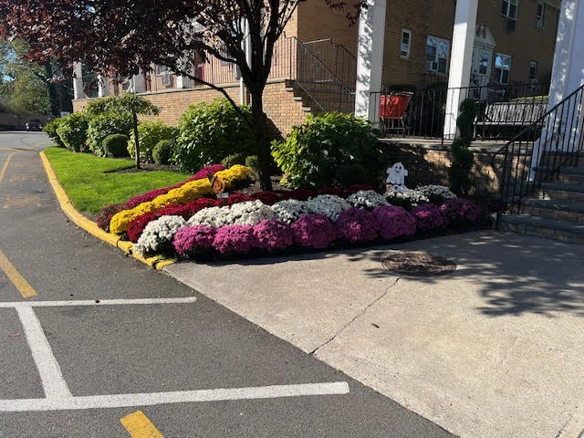 Exterior landscaping for commercial buildings