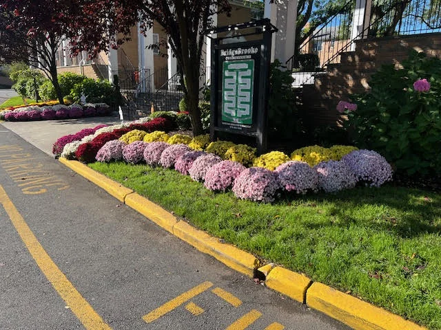 Custom exterior landscaping design by G. Deluca and Sons